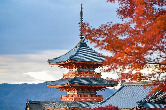 Kyoto Private Customized Day Tour with Guide - Arashiyama Bamboo Forest brings an early dose of scenery