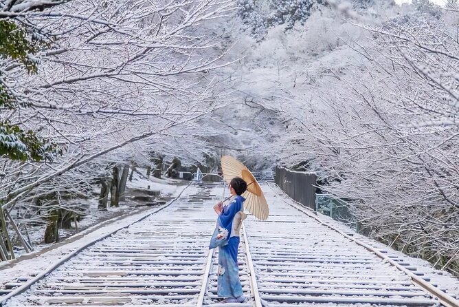 Kyoto Private Customized Day Tour with Guide - Kinkaku-ji is beautiful, but the visit is brief