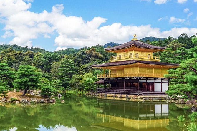 Kyoto Private Day Trip - Enjoy Your First-Time Visit to Kyoto! - Fushimi Inari and the first walk beneath the torii
