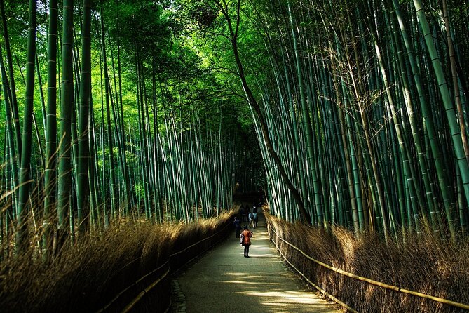Kyoto: Private Flexible 3 hours tour with a local guide - Arashiyama, markets, food, and other custom choices