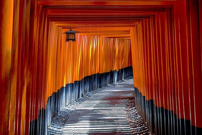 Kyoto: Private Flexible 3 hours tour with a local guide - What the guides add to the outing