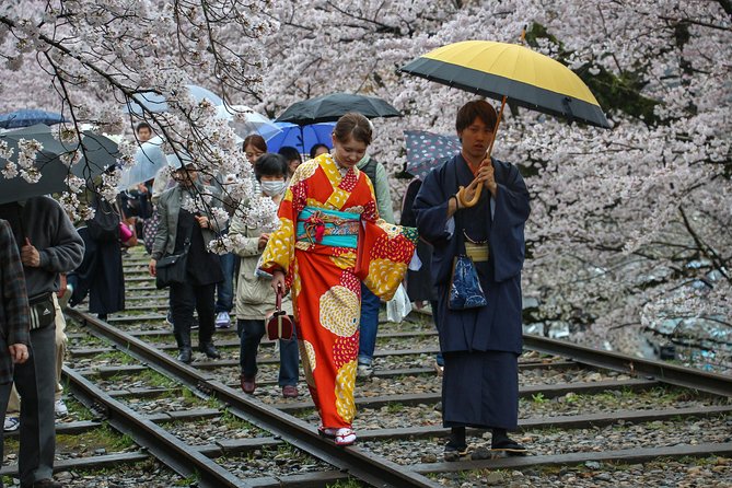Kyoto Private & Personalized Half-Day Walking Tour with a Local - Heian Shrine and its broad approach