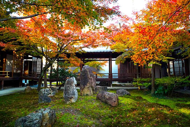 Kyoto Private Tour: One Day Highlights and Cultural Gems - Fushimi Inari and the red torii gates