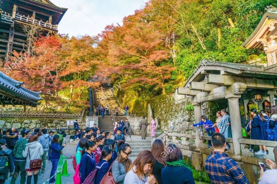 Kyoto: Private Tour with Local Licensed Guide - The six-hour choice for classic Kyoto