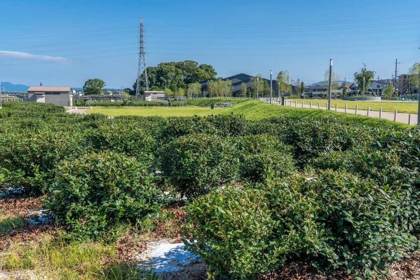 Kyoto: Tea Museum Tickets and Matcha Grinding Experience - Booking and timing details that matter
