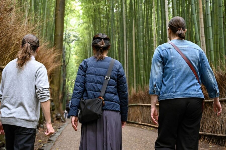 Kyoto to Arashiyama Day Trip - Private & Personalized - Key points at a glance