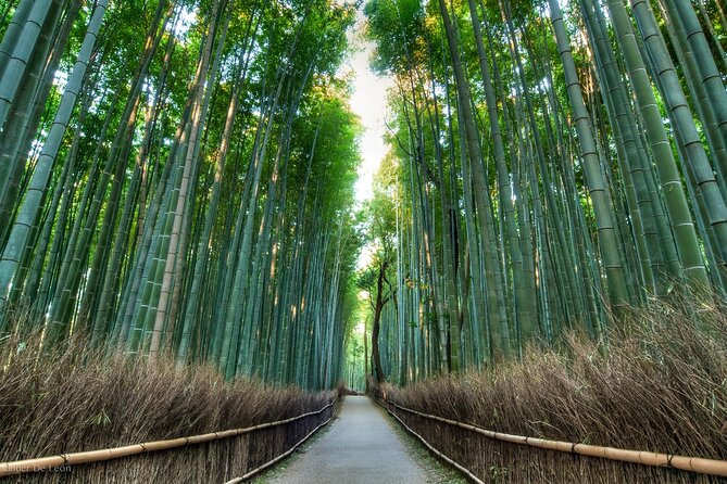 Kyoto tour with English Speaking Chauffeur - Ginkakuji rewards a slower look at Japanese design