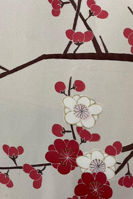 Kyoto: Traditional Yuzen Dyeing Experience - Who will enjoy this most