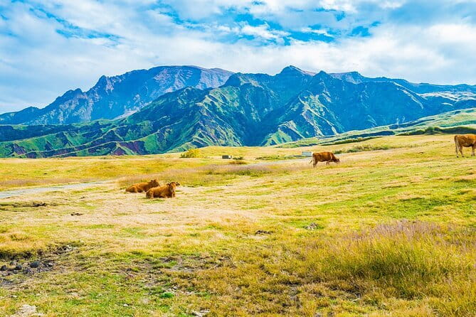 Kyushu: Aso Vocano, Grassland,Onsen and Aso shrine 1-Day Tour - Kusasenri Grasslands: wide views and breathing room
