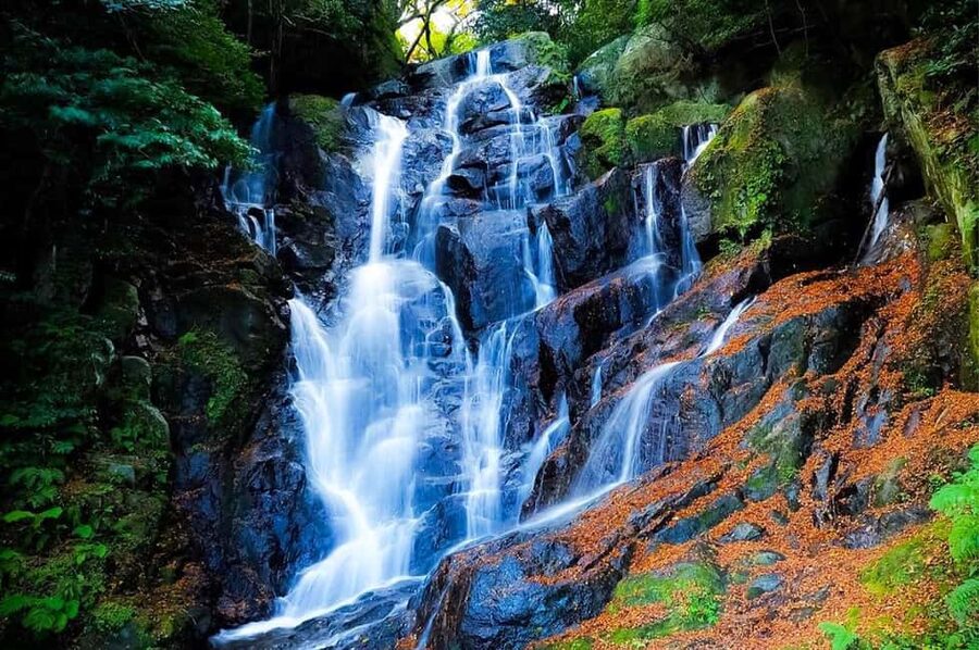 Kyushu Tour From Fukuoka: Itoshima Nature & Coastal Scenery - What the $67 Price Really Covers