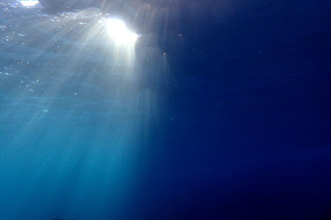 Let's enjoy Scuba diving in Izu Peninsula for certificate Diver - Morita’s guiding style and what it adds