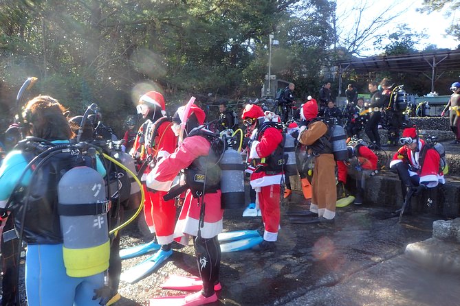 Let's enjoy Scuba diving in Izu Peninsula for certificate Diver - The marine life you may see