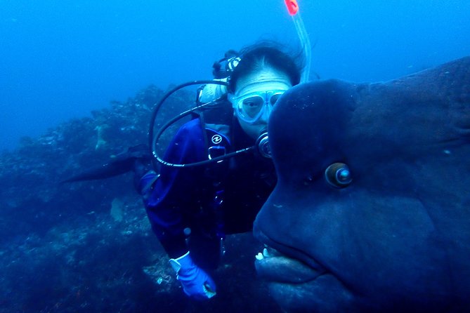 Let's enjoy Scuba diving in Izu Peninsula for certificate Diver - Who will get the most from this outing