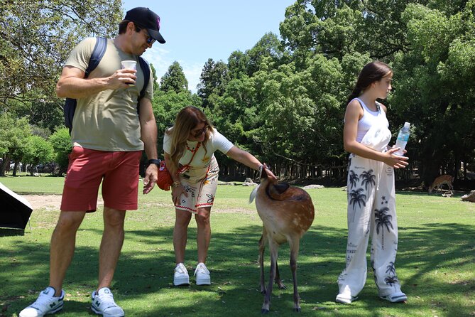 Luxury Kyoto 1-Day Private Car Tour with Nara & Osaka Options - What the guide and photo service add
