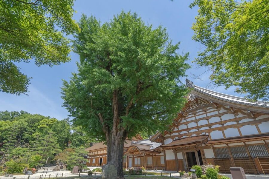 Magome-juku, Tsumago-juku & Ena-kyo 1d Bus Tour from Nagoya - Tsumago-juku and its quieter mood