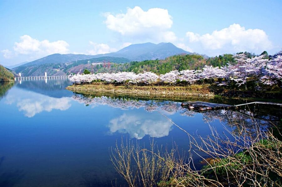Magome-juku, Tsumago-juku & Ena-kyo 1d Bus Tour from Nagoya - Starting at Nagoya Station without a hotel pickup