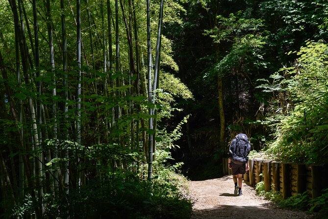 Magome & Tsumago Nakasendo Trail Day Hike with Government-Licensed Guide - Starting in Magome, a village on the slope