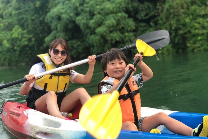 Mangrove kayaking to enjoy nature in Okinawa - Key points before you book