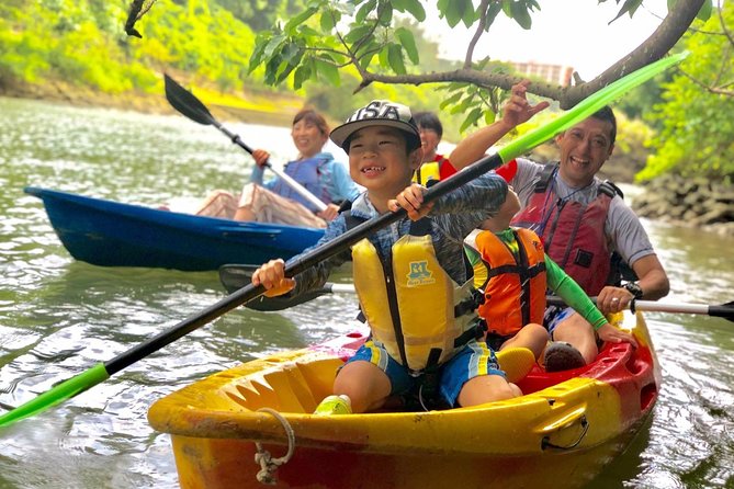 Mangrove kayaking to enjoy nature in Okinawa - About one hour on the Hija River