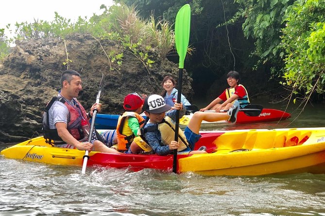 Mangrove kayaking to enjoy nature in Okinawa - Why beginners and families fit well