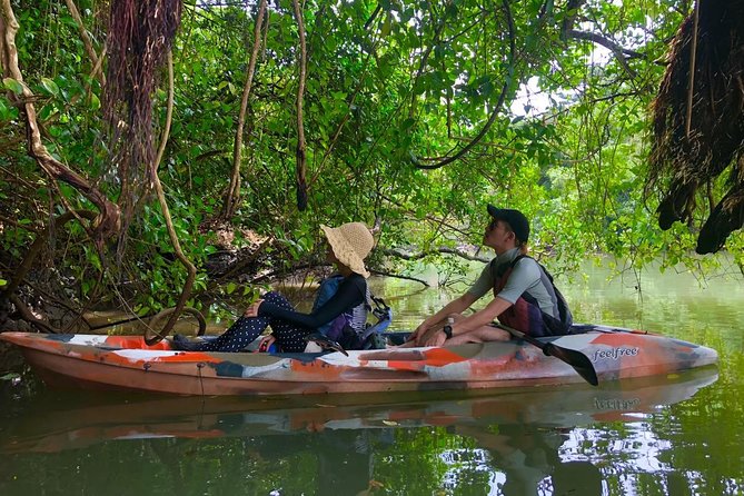 Mangrove kayaking to enjoy nature in Okinawa - Price, timing, and overall value