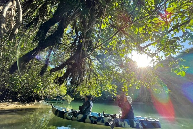 Mangrove kayaking to enjoy nature in Okinawa - How it fits into a West Okinawa day