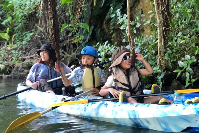 Mangrove kayaking to enjoy nature in Okinawa - What happens at 566-7 Mizugama