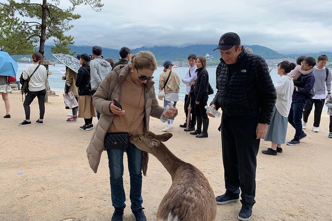 Miyajima Half-day Private Tour with Government Licensed Guide - Itsukushima Shrine is more than the famous torii