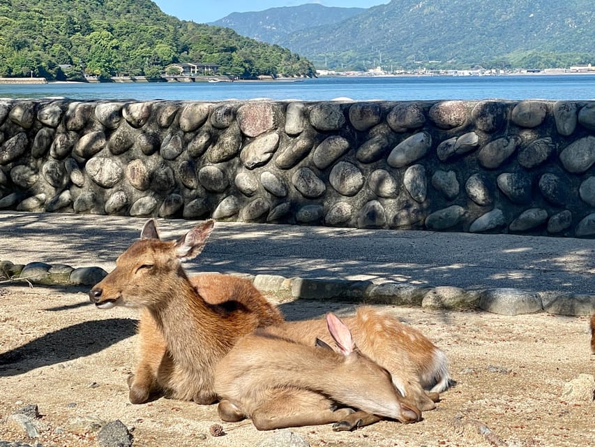 Miyajima Highlights: Itsukushima Shrine & Island Nature - Omotesandō Street, food, and shopping