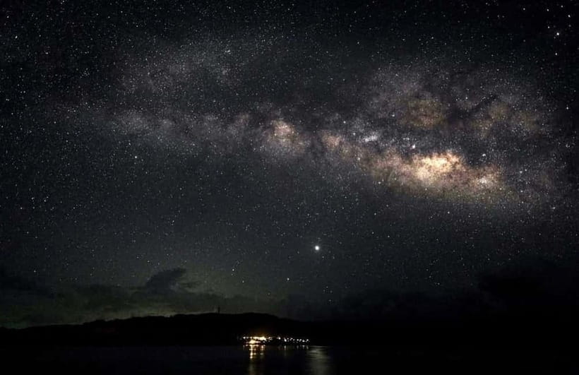 Miyako Island: Stars & Jungle Night Walking Tour - Searching for coconut crabs