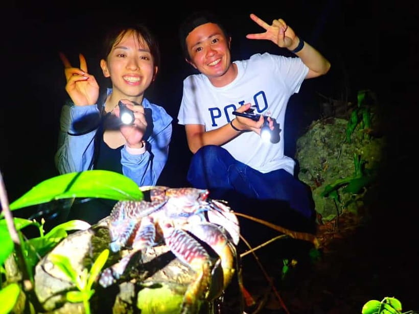 Miyako Island: Stars & Jungle Night Walking Tour - Practical booking advice