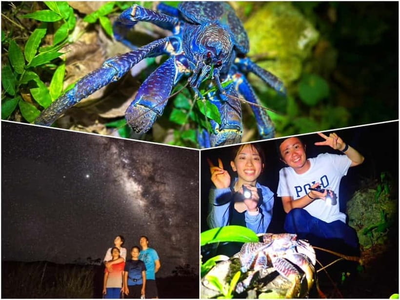 Miyako Island: Stars & Jungle Night Walking Tour - The one-hour walk through the park