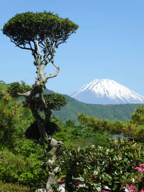 Mount Fuji: Customizable Private Tour By Car With Pickup - Saiko Iyashi-no-Sato Nenba: thatched roofs and hands-on culture
