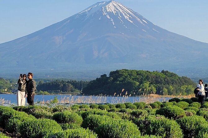 Mount Fuji Full Day Customized Private Tour with English Guide - Chureito Pagoda and Arakurayama Sengen Park