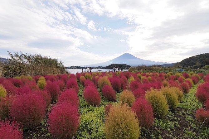 Mount Fuji Full Day Customized Private Tour with English Guide - Narusawa Ice Cave and the volcanic side of Fuji