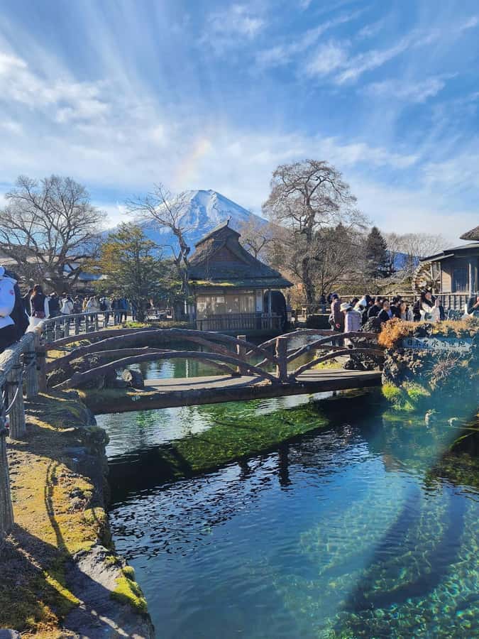 Mount Fuji Full-Day Private Sightseeing Tour with Guide - Why a private Mount Fuji day can be worth the price