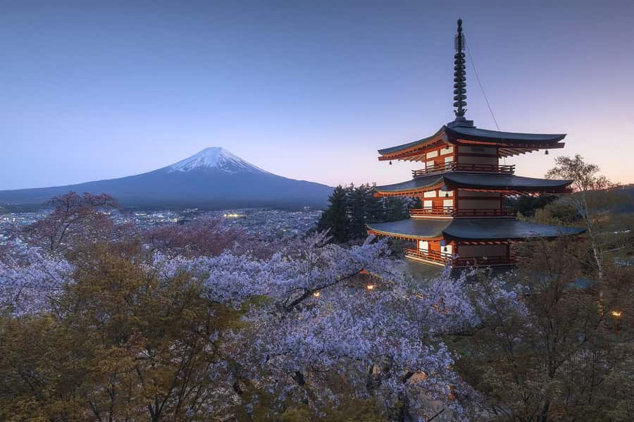 Mount Fuji Full-Day Private Sightseeing Tour with Guide - Lake Kawaguchi and Oishi Park