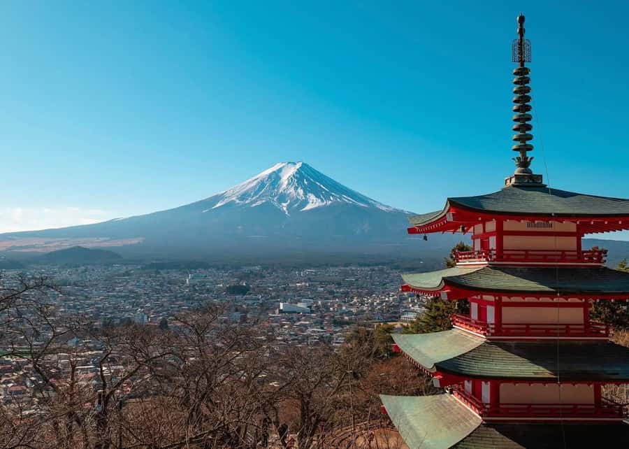 Mount Fuji Full-Day Private Sightseeing Tour with Guide - Starting from Tokyo: pickup, traffic, and timing