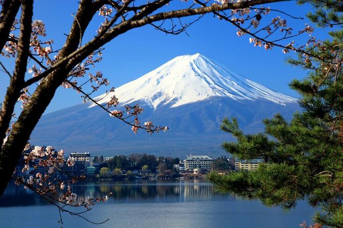 Mount Fuji Full-Day Private Tour from Tokyo (Customizable) - Key details to know before you book