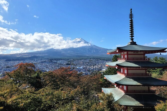 Mount Fuji Full-Day Private Tour from Tokyo (Customizable) - Why a private Mount Fuji day trip makes sense