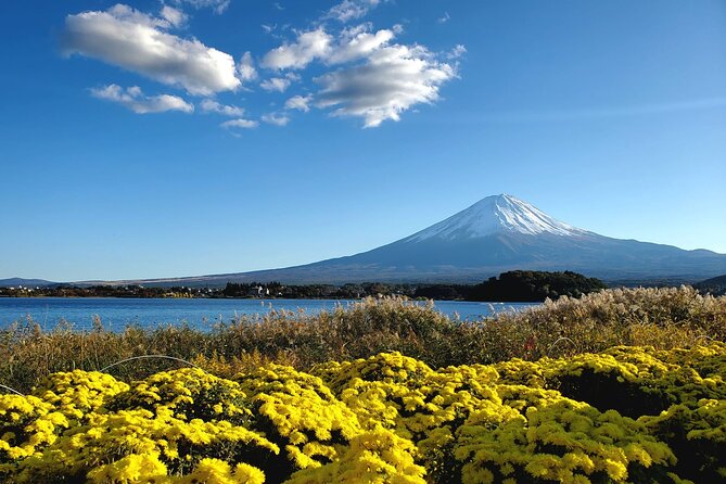 Mount Fuji Full-Day Private Tour from Tokyo (Customizable) - Lake Kawaguchiko gives you the classic Fuji view