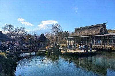 Mount Fuji Full-Day Private Tour from Tokyo (Customizable)