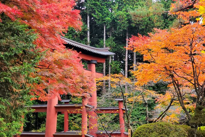 Mount Fuji Full-Day Private Tour from Tokyo (Customizable) - Your driver is the key to the experience