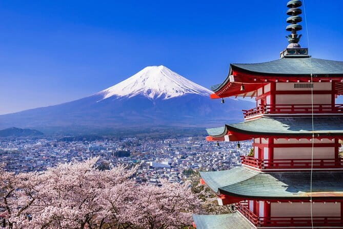 Mount Fuji Full Day Sightseeing Tour from Tokyo - Why this Mount Fuji day trip works from Tokyo