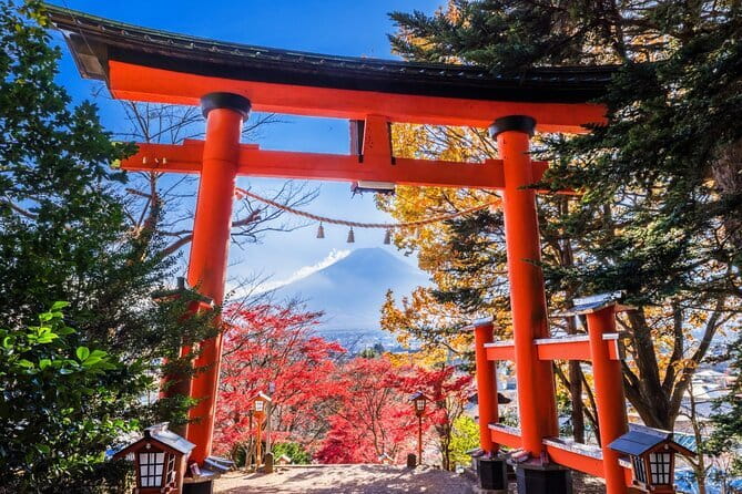 Mount Fuji Full Day Sightseeing Tour from Tokyo - Oishi Park adds flowers and open views