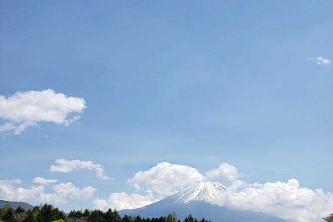 Mount Fuji, Hakone & Lakekawaguchiko Private Group Tour by Car. - Lake Yamanaka and the swans