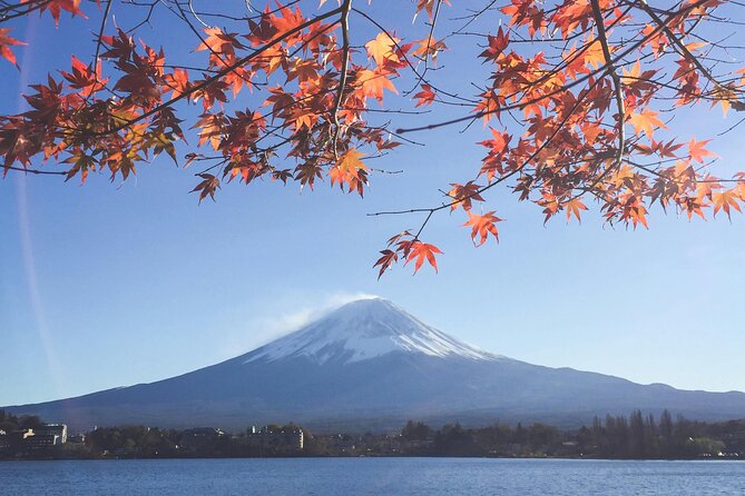 Mount Fuji (Mt. fuji) private tour by car with pickup from Tokyo - Oshino Hakkai and the clear spring ponds
