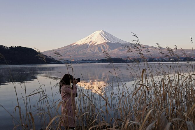 Mount Fuji (Mt. fuji) private tour by car with pickup from Tokyo - Oishi Park and the easiest Fuji-and-lake view