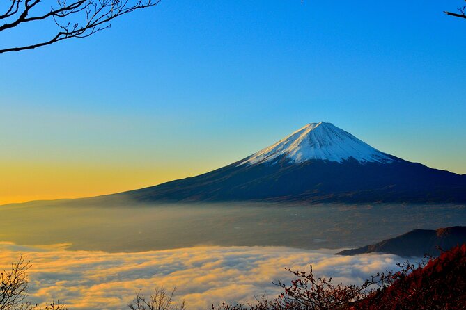 Mount Fuji (Mt. fuji) private tour by car with pickup from Tokyo - Chureito Pagoda and the classic Fuji photograph