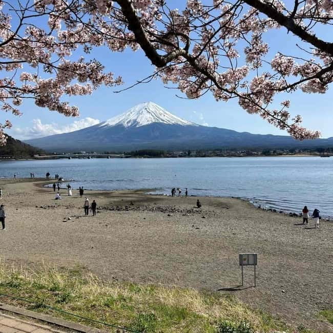 Mount Fuji Private day tour from Tokyo private & Customized - Why a private car makes sense for Mt. Fuji